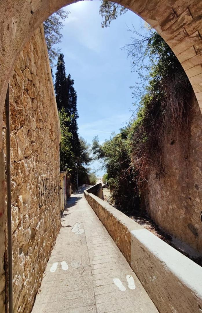Le Coq Massolin * Roquebrune-Cap-Martin
