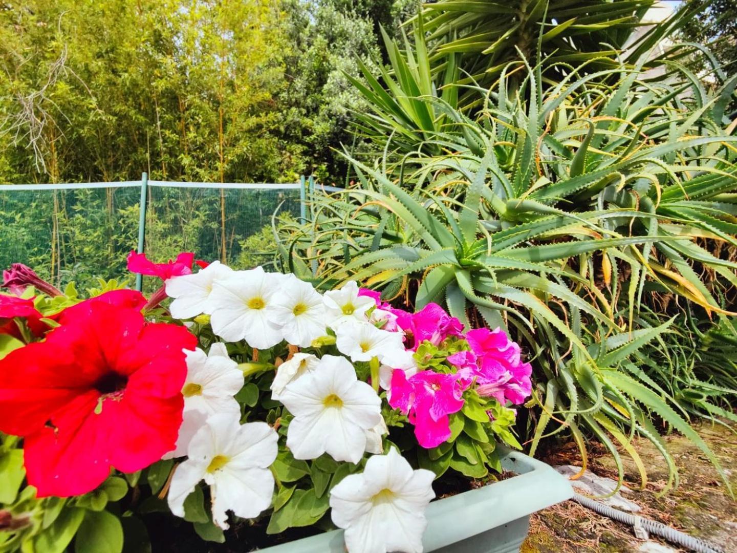 Appartement Le Coq Massolin *