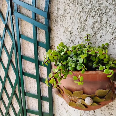 Le Coq Massolin Roquebrune-Cap-Martin Exterior photo