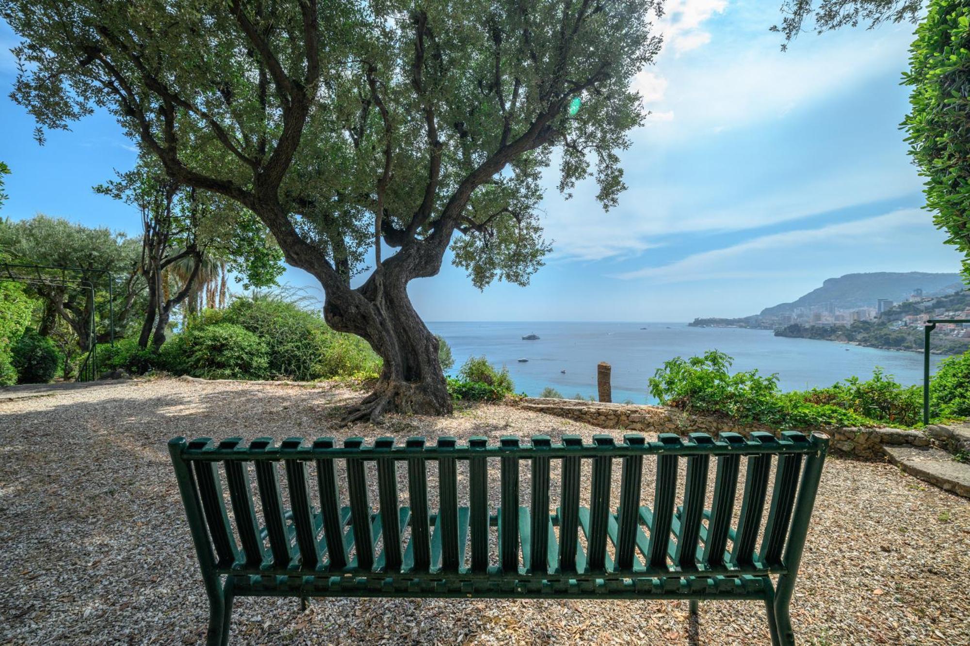 Le Coq Massolin * Roquebrune-Cap-Martin